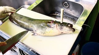 川で釣り上げたナマズを刺身で食べたらやば過ぎた…