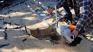 milling flaming red Boxelder cookies with Stihl ms661