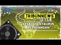 4 Kesalahan Ini Sering Dilakukan Taurus ke Pasangan, Pantas Asmaranya Selalu Kandas!