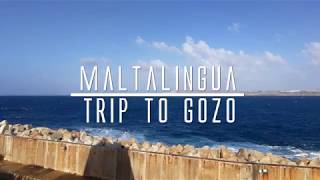 2017 Trip to Gozo with Maltalingua