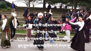 1st January Paris lhakar gorshey| ཕྱི་ལོ་༢༠༢༥ འཛོམས་པ་ཡག་མོ་ལྷག་དཀར་སྒོར་གཞས་ཐོག་མ།#tibetanyoutuber