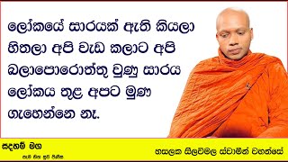 ලෝකයේ සාරයක් ඇති කියලා හිතලා අපි වැඩ කලාට..1007Ven Hasalaka Seelawimala Thero