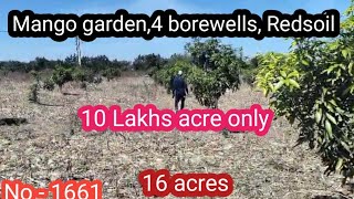 || 10 Lakhs acre only|| Mango garden, Redsoil,4 borewell || 16 acres ||No - 1661