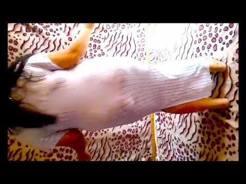 رقص منازل بملابس شفافة ساخن حدا Vidoemo Emotional Video Unity