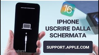 iOS 16-iPhone Bloccato su support.apple.com/iphone/restore [Aggiornato]