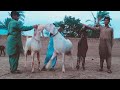 Visit Nadir Goat Farm Gulabi Rajanpuri Bareeds Dera Ghazi Khan in Pakistan 🇵🇰