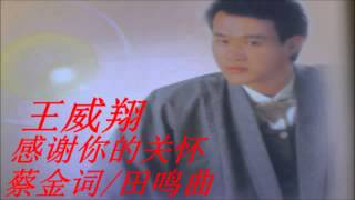 王威翔   感谢你的关怀=田鸣曲---蔡金词。