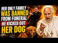 Pope Leo XIV STOPPED The Funeral When A Priest Refused A Widow’s Dog One Last Goodbye!