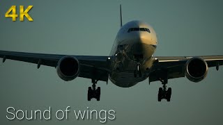 【4K】千里川土手への行き方 ド迫力撮影スポット/伊丹空港 大阪国際空港/飛行機 離陸 着陸/バイノーラル録音