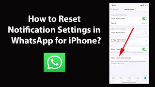 How to Reset Notification Settings in WhatsApp for iPhone?