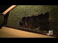 CHP Task Force Investigates As More Cars Attacked By Projectiles On Hwy 101