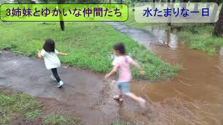 水たまりな一日