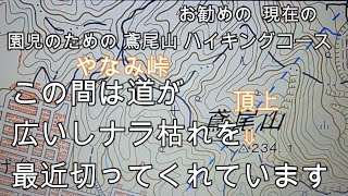 神奈川県・厚木市・愛川町・鳶尾山　ちっちゃいお子さんを沢山連れて鳶尾山頂に行く場合は 『 やなみ峠 ～ 鳶尾山頂 』 のコースが安心ですよ、道も広いし、最近ナラ枯れを自治体が切ってくれましたので。