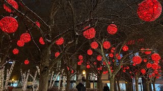 Toronto Bloor\u0026Yorkville winter light 圣诞节日彩灯🎄市中心开车观景合家乐