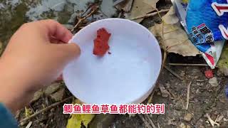 钓大板鲫我现在这个季节用的这个鲜虾肉饵，确实挺优秀才推荐的。#钓鱼技巧 #饵料窝料 #渔具用品 #鱼饵