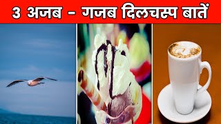 3 अजब - गजब दिलचस्प बातें | Amazing Facts In Hindi | Top 3 Unique Facts | #shorts #shortsvideo
