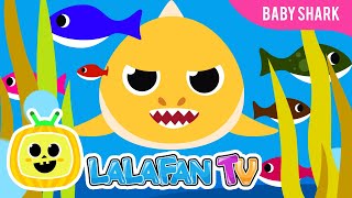 Baby Shark Song | Nursery Rhymes by Lalafan TV