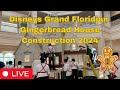 🔴 Live - Disney Christmas Gingerbread House  -  Walt Disney World  10.30.2024