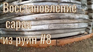 Восстановление сарая из руин #8 // Кошачья семейка