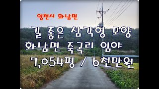 (영천착한부동산)NO.724/영천시 화남면 죽곡리 임야7,054평/도로 좋고 전기있는 농림지역 임야