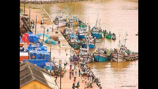 Bhatkal Bunder Fish Port #youtubeshorts #shortsvideo #short #shorts #seaport #bhatkal #fishingport