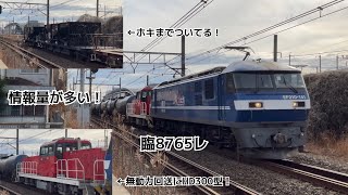 【情報量がとても多い貨物列車】 臨8765レ(EF210型141号機+HD300型30号機+タキ5B両+コキ200形5B両+ホキ2B両)が高崎線大宮~宮原間を通過！【4K高画質】