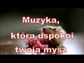 muzyka która uspokoi uśpi twoją mysz. jak uspokoić mysz domową