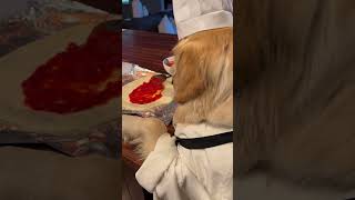 My Dog makes PIZZA!