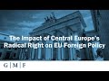 The Impact of Central Europe’s Radical Right on EU Foreign Policy