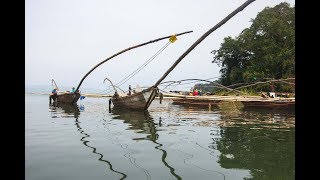 ONE MINUTE IN NKOMBO ISLAND \