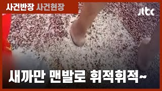 먹을 걸 맨발로? 중국 시장서 '잡곡' 휘적이는 충격 장면 목격  / JTBC 사건반장