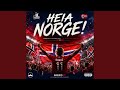 NORGE TIL VM