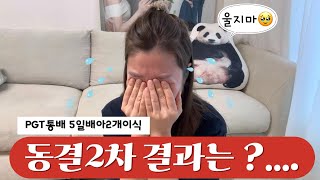 (시험관vlog)2차동결이식 5일째 되는날 임신테스트기 결과는?ㅣ요번에는 성공할수 있을까 ?