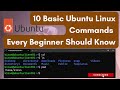 10 basic ubuntu linux commands every beginner should know