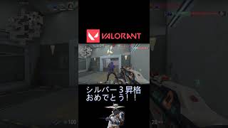 初のシルバー３到達！シルバー3昇格戦！！【Valorant】