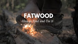 Fatwood for Beginners