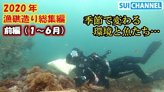 【漁礁造り】季節で代わる海の生き物と環境の変化。2020年総集編【前編】1～６月怒涛の生き物＆海藻ラッシュ