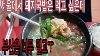 서울에서 부산의 돼지국밥 맛을 느껴보고 싶다면 공덕역 원조부산돼지국밥