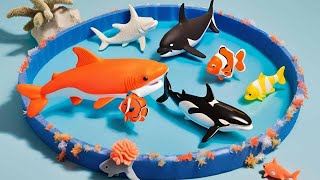 Explore Aquatic Adventure: Starfish, Pufferfish, Seahorse, Eel Fish, #Dolphin #Shark | LIVE 33