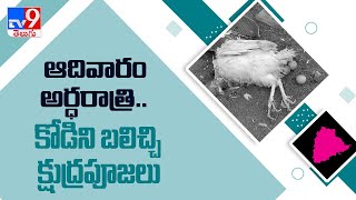 ఆదివారం అర్ధరాత్రి  కోడిని బలిచ్చి క్షుద్రపూజలు - TV9