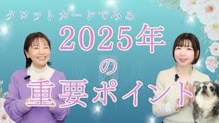 【2025年】タロット占いから見えてきた2025年の重要ポイント☆#29