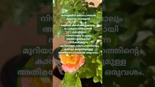 മൗനം| Malayalam status| #shorts #shortvideo #lifestatus