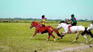 সুনামগঞ্জ ছাতক থানা কুমারকান্দি,কামারগাঁও ঐতিহ্যবাহী ঘোড়াদৌড় প্রতিযোগিতা🐎Best Horse Racing