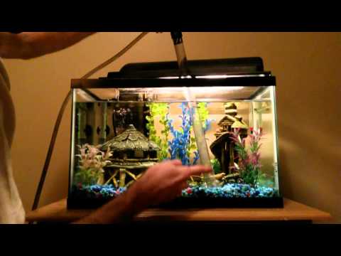 Performing A Freshwater Tank Water Change Performing A Freshwater Tank Water Change