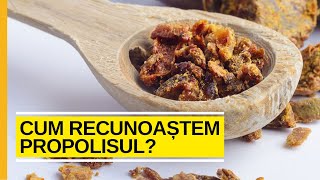 Cum recunoastem propolisul?