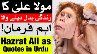Hazrat Ali as Ka Eham Farman | Mola Ali Quotes Urdu | Imam Ali | Mehrban Ali
