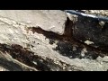 Chimneys in old houses - why they are wet and what to do Chimneys in old houses - why they are wet and what to do