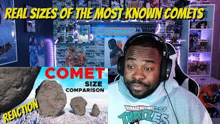 Real SIZES of the most known COMETS REACTION