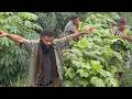 Regenerative Vanua's Journey