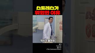 스트레스가 위험한 이유